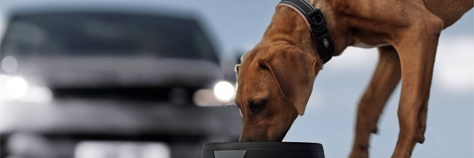 Range Rover Sport: Potent. Exhilarating. Dramatic. 