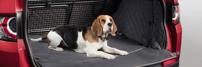 The best car for dog owners at Listers U