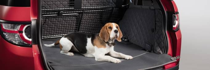 The Best Cars for Dog Owners 2021