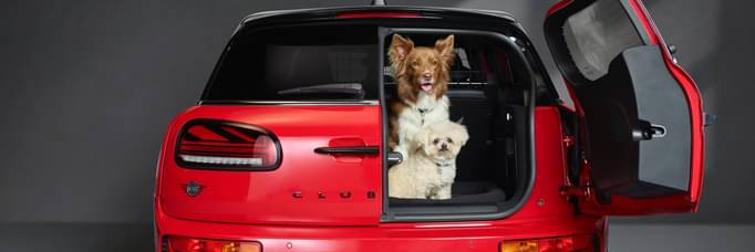 MINI Partners with the Dogs Trust