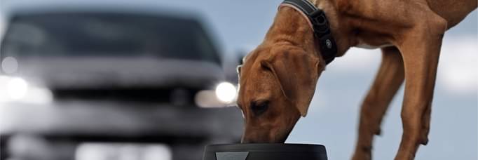 Range Rover Sport: Potent. Exhilarating. Dramatic.  