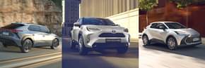 100x100x100 Listers Toyota New Car Event 