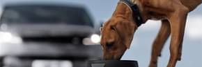 Range Rover Sport: Potent. Exhilarating. Dramatic.  