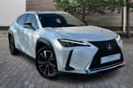 2019 Lexus UX Hatchback 250h 2.0 Takumi 5dr CVT in White at Lexus Cheltenham