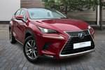 2019 Lexus NX Estate 300h 2.5 5dr CVT (Premium Pack) in Red at Lexus Cheltenham