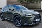 2024 Lexus NX Estate 450h+ 2.5 5dr E-CVT (Premium Plus Pack) in Green at Lexus Lincoln