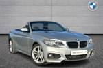 2017 BMW 2 Series Diesel Convertible 218d (150) M Sport 2dr (Nav) Step Auto in Glacier Silver at Listers Boston (BMW)