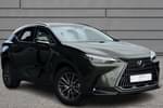 2025 Lexus NX Estate 350h 2.5 Premium 5dr E-CVT in Green at Lexus Bristol