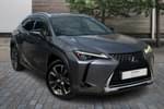2020 Lexus UX Hatchback 250h 2.0 Takumi 5dr CVT in Grey at Lexus Cheltenham